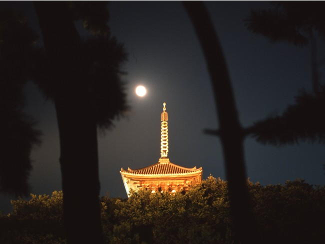 横浜【三渓園】で三重塔など重要文化財をライトアップ！