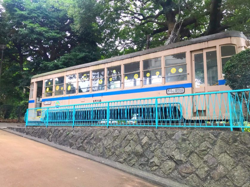動物園内には昔横浜の街を走っていた「市電」が展示されていて、実際に乗ることも可能です。これには乗り物好きな子どもは大興奮！ 横浜の歴史を肌で感じることが出来るのも野毛山動物園の魅力の一つです。